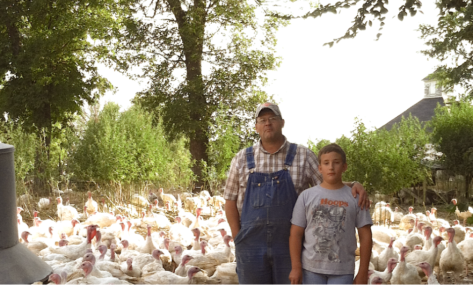 Meet Farmer Nathan & Learn About TC Farm Turkey