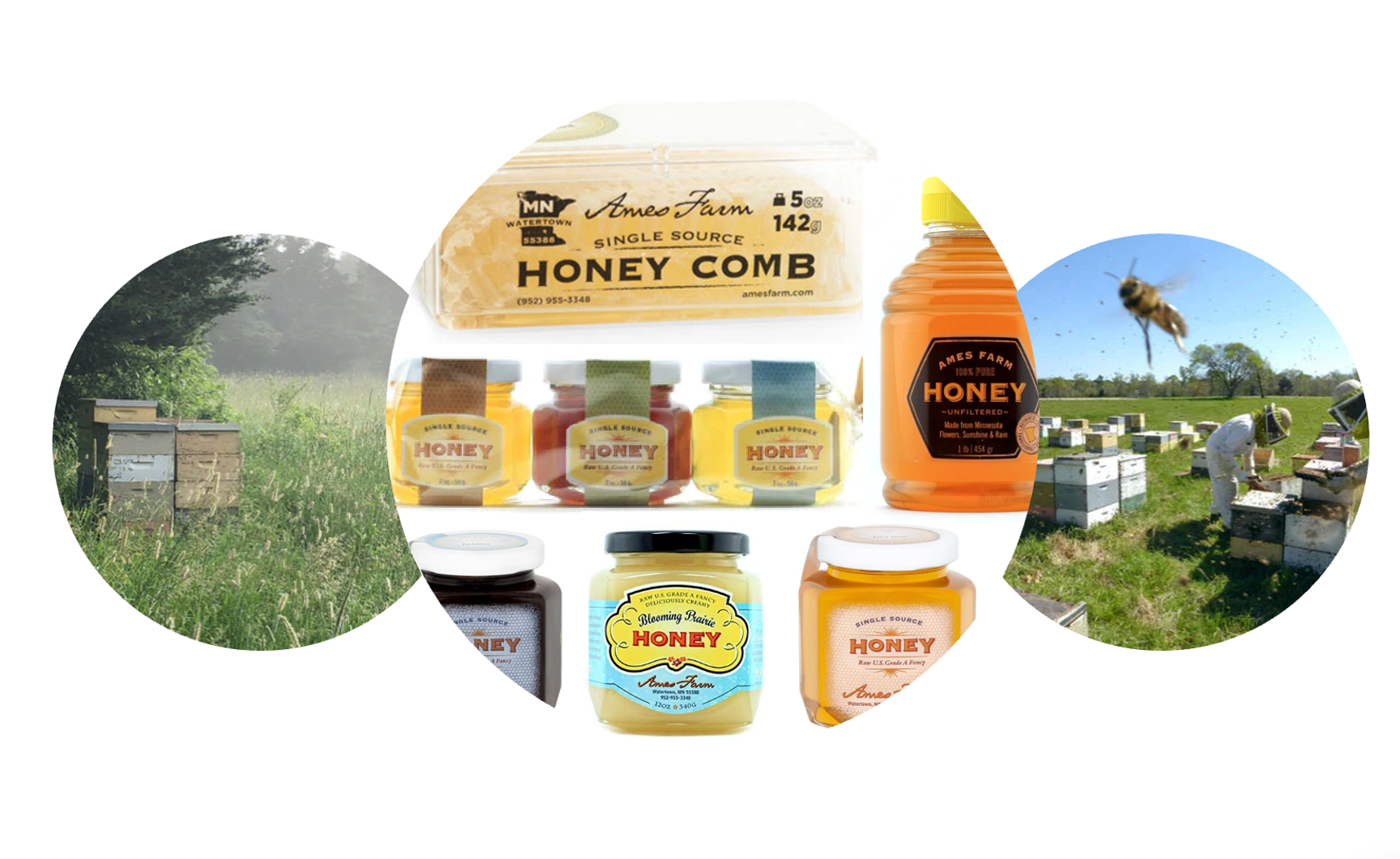 New Items from Local Ames Farm Honey