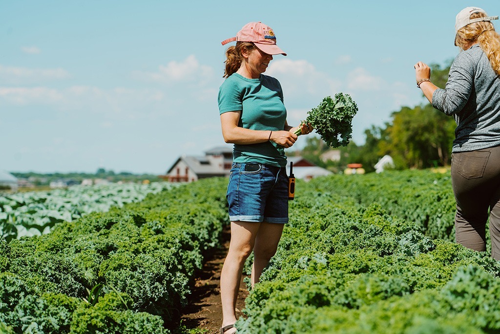 RSVP for the September 14th Farm Tour