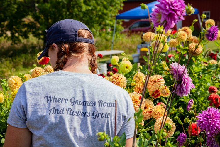 Fields Full of Flowers- Update from Farmer Megan