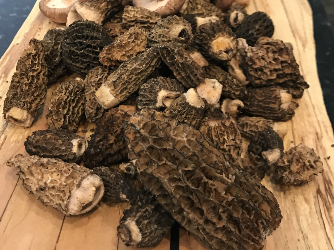 Morels and Ramps are Here!