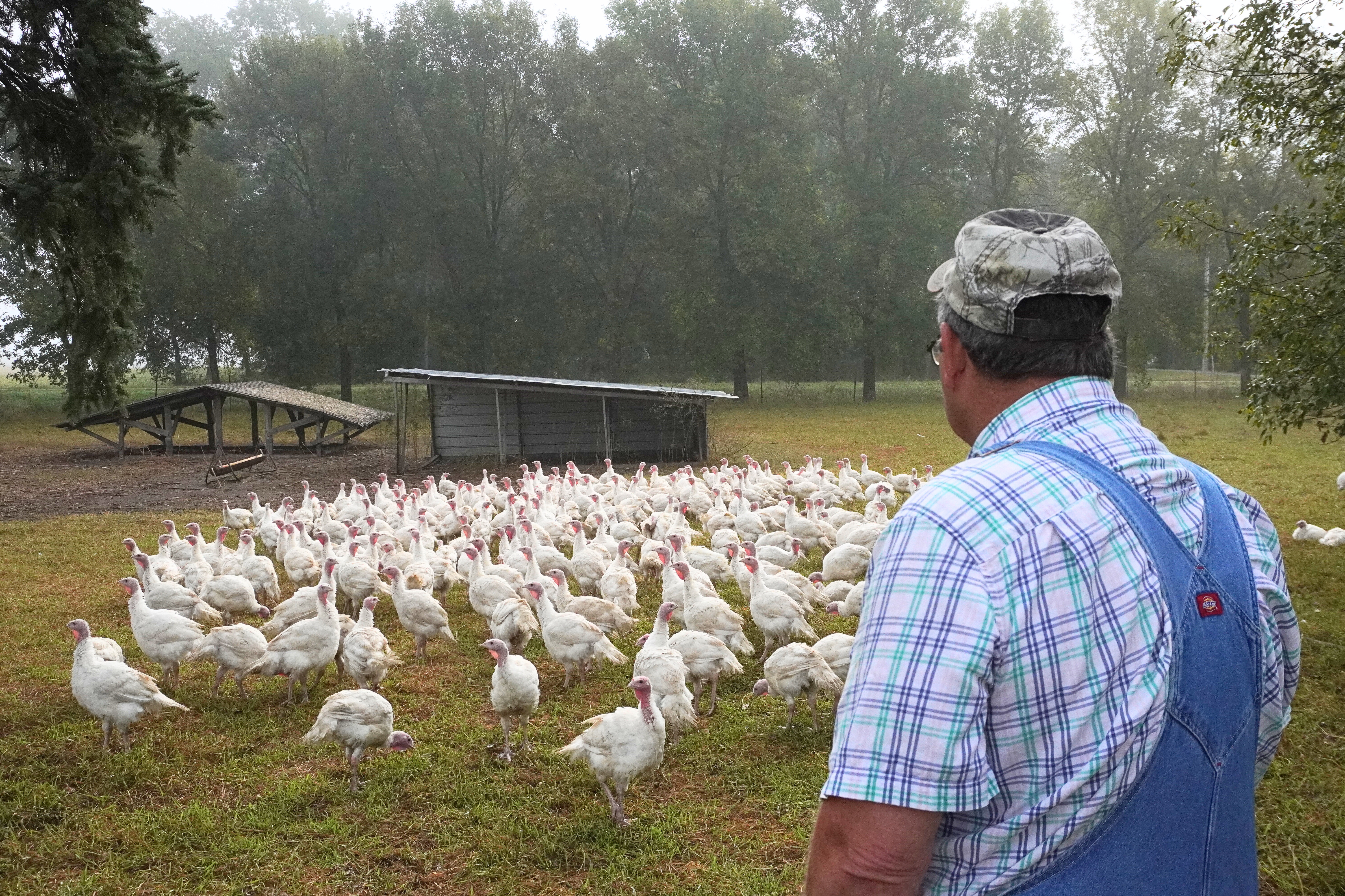 Turkey Farmers Nathan & Barb