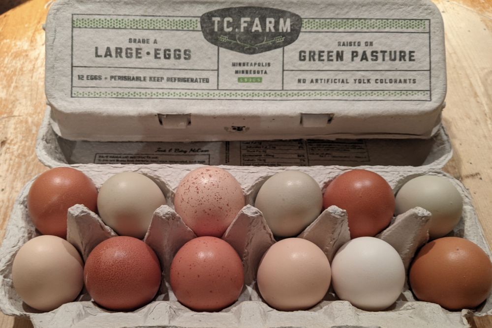 TC Farm Eggs: A Family Effort