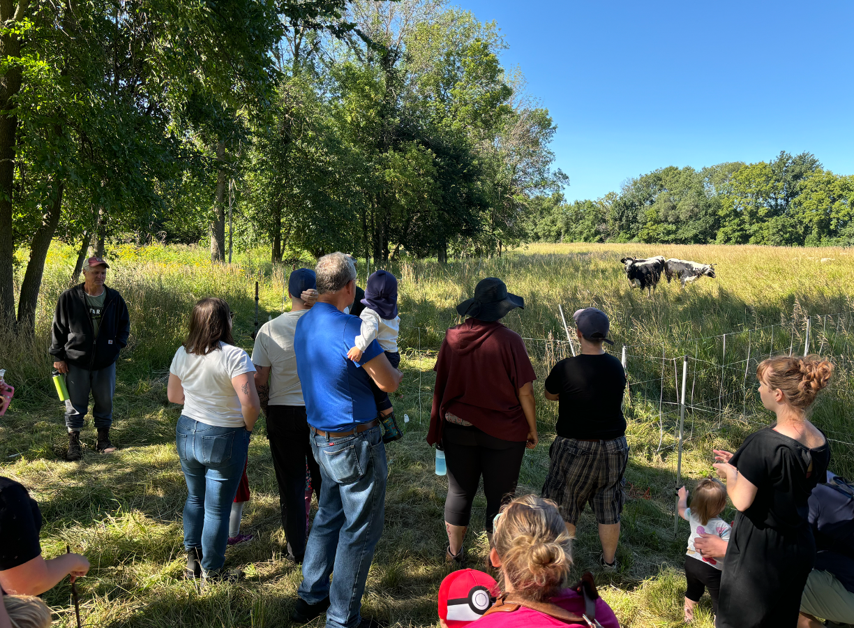 Meet Farmer Kerry: Premium Pasture Raised Lamb