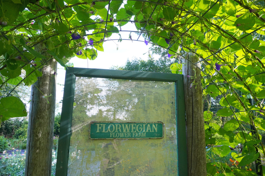 Sneak Peek of the Flower Farm