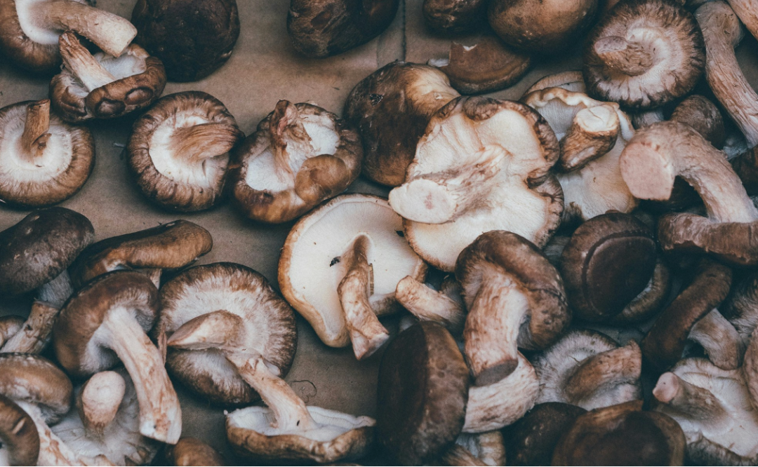 September Mushroom Sampler