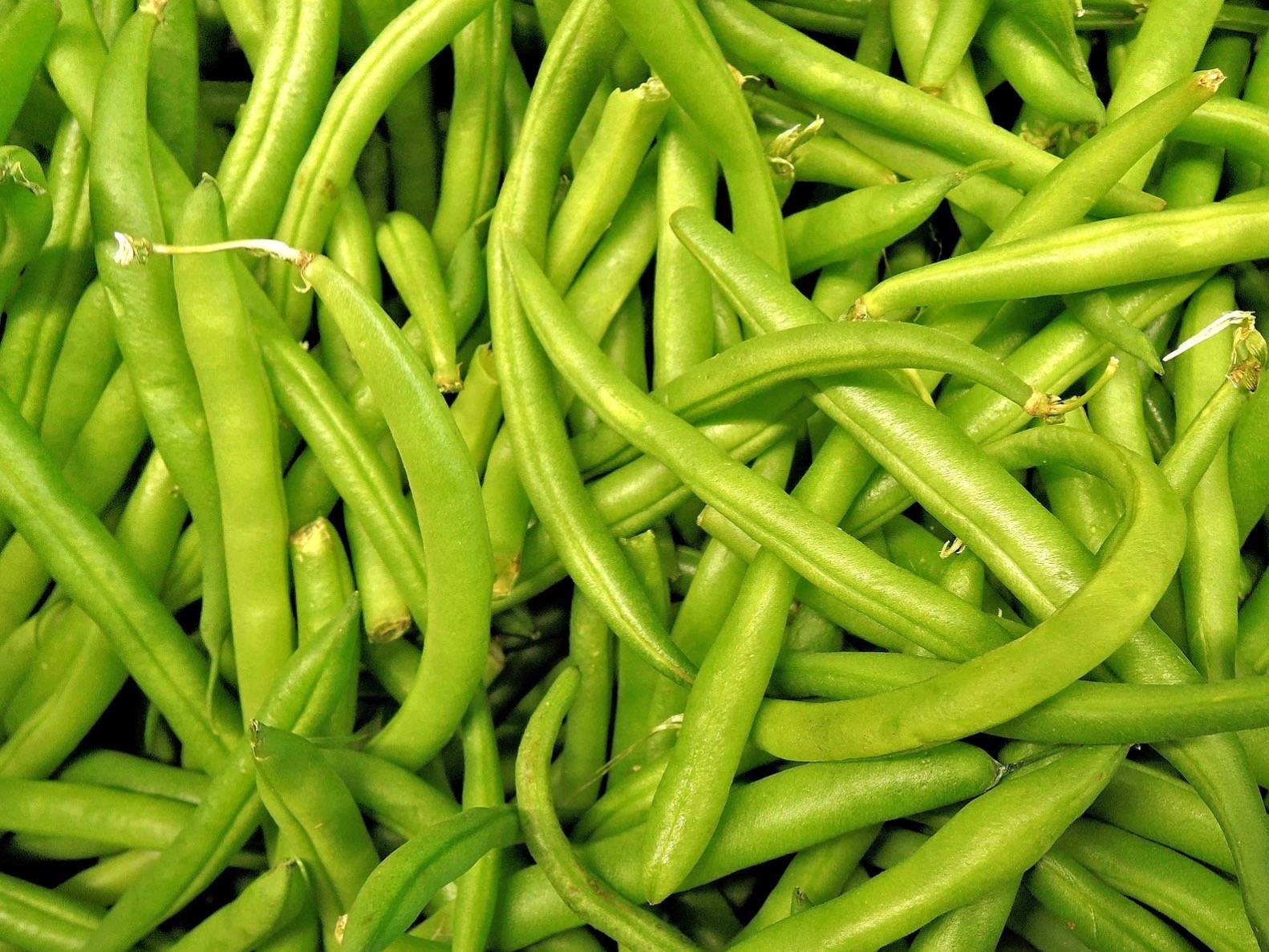 February 2-7 Weekly Features