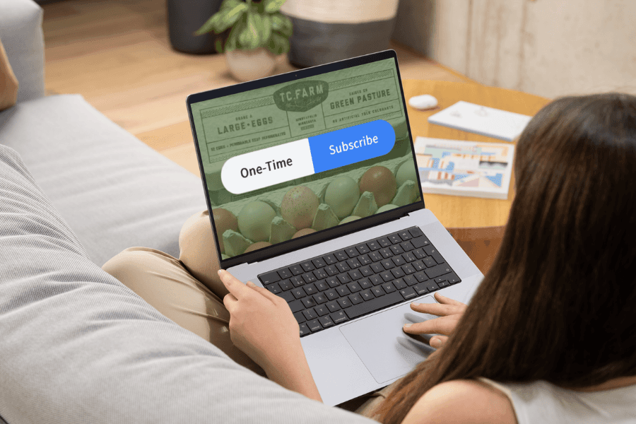 What Are Subscriptions?